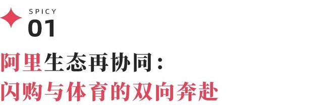 “浙BA”背后的爆款制造机 橙狮体育如何用赛事点燃城市的烟火气