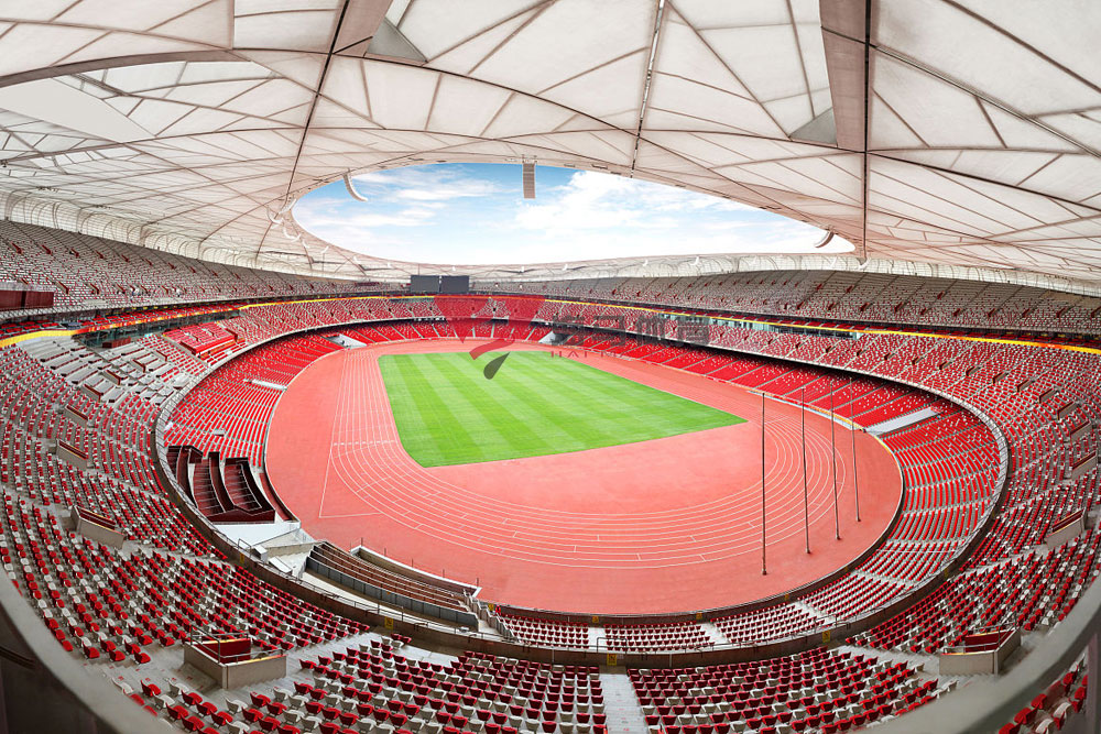 西峡体育工作2025年度回顾