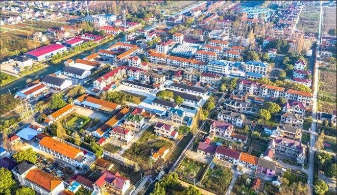 “绿”动新生“华”彩绽放