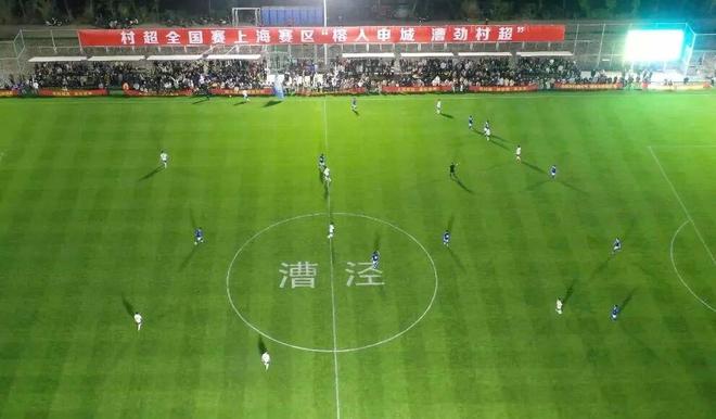 关于金山养老、农业、体育他们这样说！(图5)