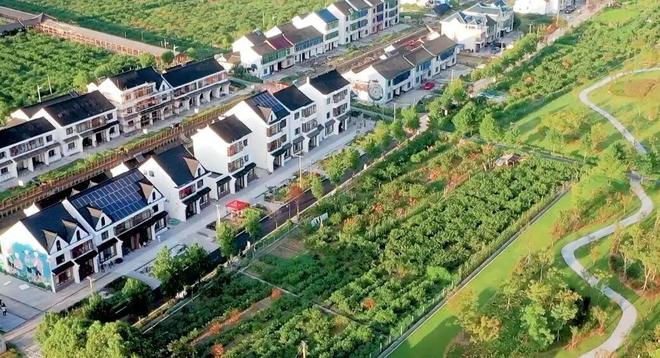 关于金山养老、农业、体育他们这样说！(图3)