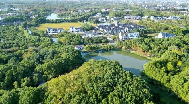 关于金山养老、农业、体育他们这样说！(图4)