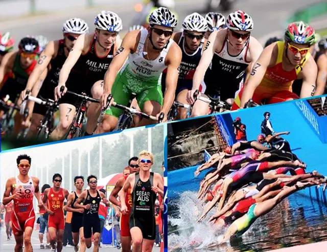 2026年铁人三项服装市场分析报告国内外行业现状与发展趋势