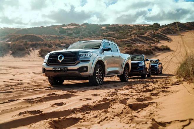 Best Bakkie！长城汽车24T长城炮南非上市！(图2)