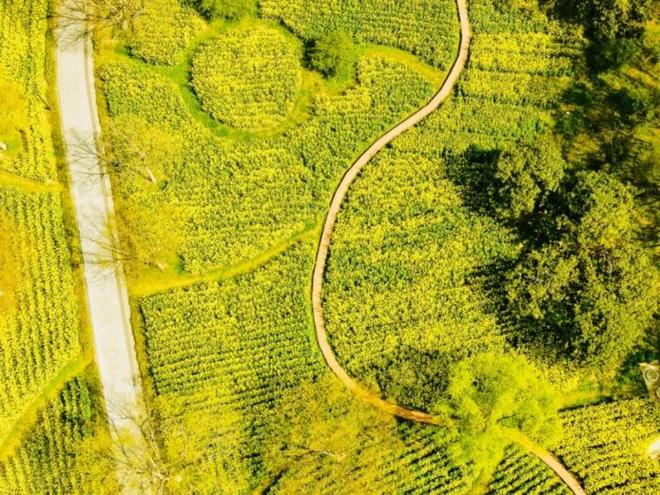 跟着赛事去旅行！来青浦下江南丨2026长三角国际铁人三项赛暨铁人中国T515上海公开赛(图9)